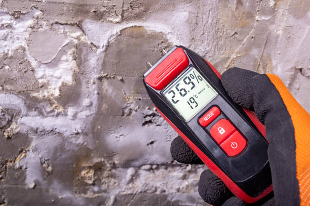 Best Mold Remediation  in Branson, MO