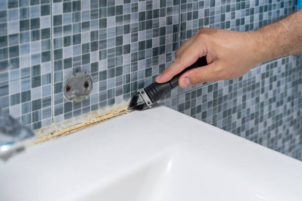 Best Local Mold Removal Service  in Branson, MO